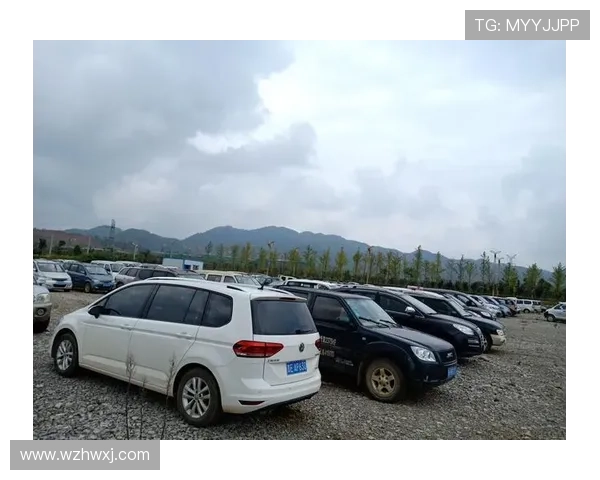 (明日10：00拍卖)贵州省兴义市车牌号贵EQ5515吉利美日小型轿车