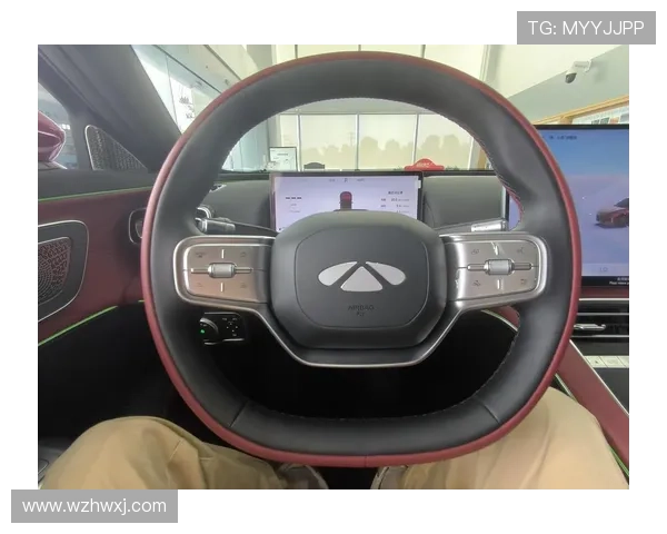 1.5T插混，540全景影像，车长5米多，轴距3米，限量增发1万台，年轻人的A9L！