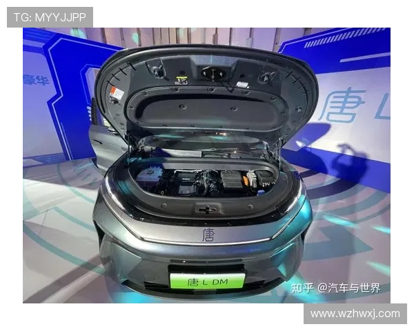 1000V高压平台、千匹马力 比亚迪汉L_唐L正式上市