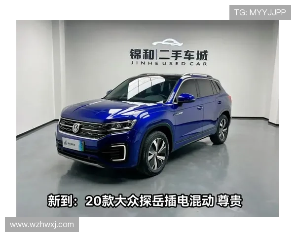 10万指标成乌龙？大众探岳要插电