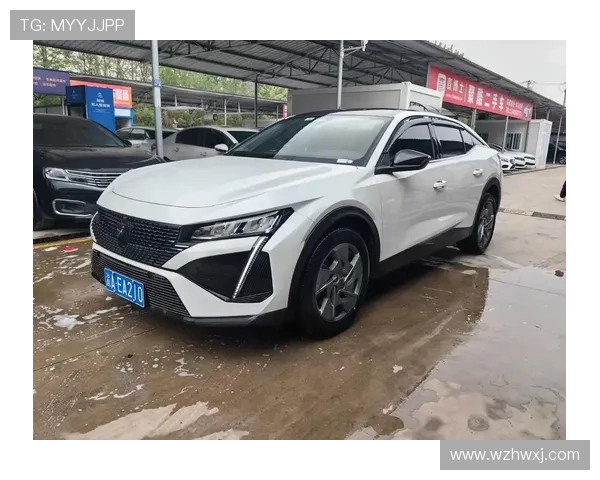 10天2739公里，夫妻俩开着手动标致408，自驾土耳其！